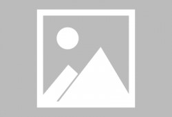 爆笑零食爆料视频大全最新,笑出腹肌的瞬间回顾