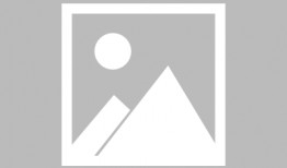 定陶二中最新爆料事件,校园事件引发社会关注