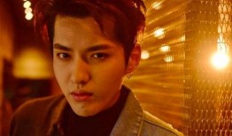 吴亦凡服刑爆料最新消息,揭秘案件细节与判决结果